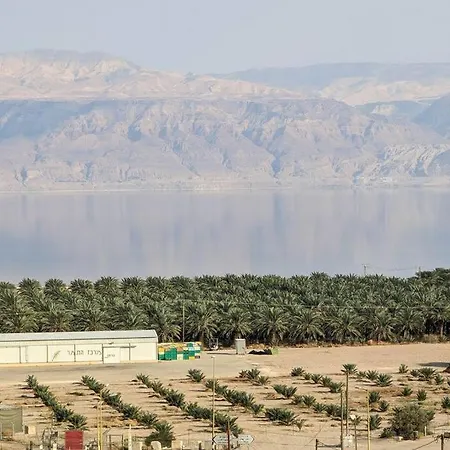 Appartement Charming Unit In Dead Sea à Avnat Extérieur photo