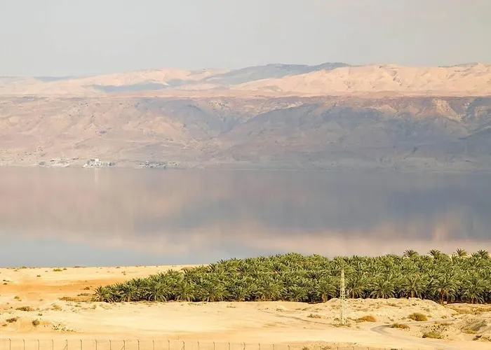Charming Unit In Dead Sea
