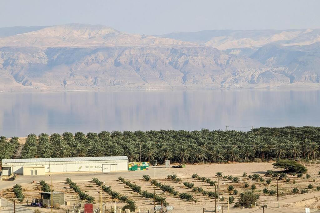 Charming Unit In Dead Sea