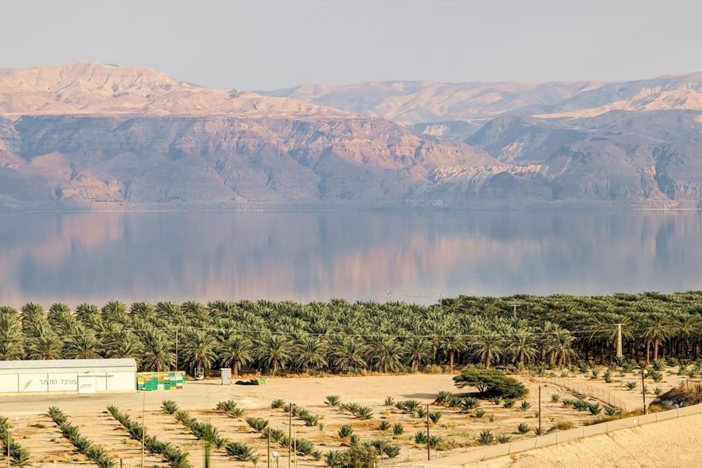 Charming Unit In Dead Sea *