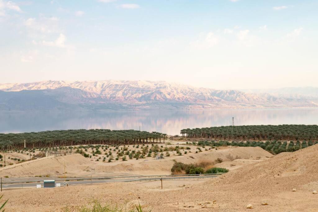 Charming Unit In Dead Sea Avnat