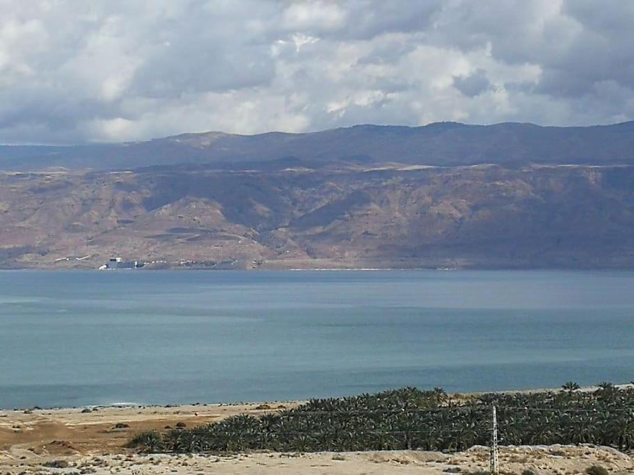 Charming Unit In Dead Sea *